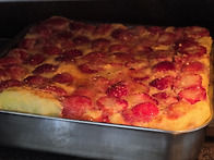 🌱 유찬이의 ..