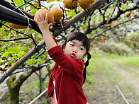 &#127824;배를 수확했어요&#127824;