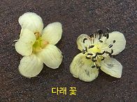 괴산 산막이옛길 다녀와서..