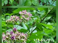 산막이옛길에서 만났습니다