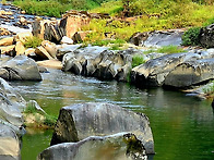 2025 제4회 단시조 참방/..