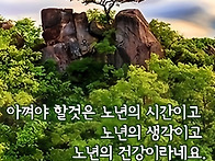 이젠그만ㅡ만두 전골