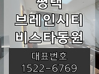 평택 브레인시티 비스타동..