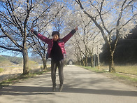 2026.04.06 봄맞이 벚꽃구경