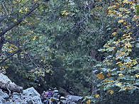 Mt. Timber 를 다녀 왔습..
