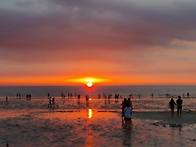 &ldquo;희대의 사기&rdquo; ..