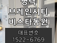 평택 브레인시티 비스타동..