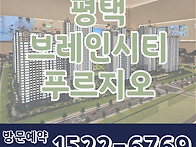 평택 브레인시티 푸르지오..