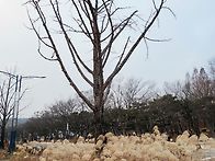 거마산 ~소래산~대공원