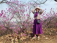 일요일 원미산 옥구공원 ..