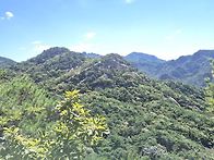 제천 작은동산 동산산행.