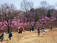 부천 진달래동산