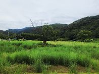 서산에서
