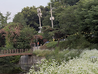 귀향