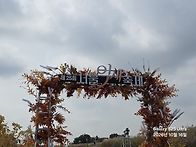 마포구 상암동 하늘공원 ..