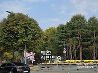 서초구 양재 시민의숲 정원..