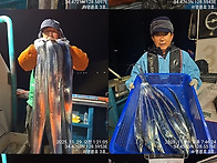 통영명륜호3호14석)大갈치 최대2쿨러 대장..