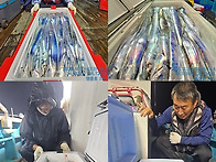 통영명륜호3호) 돌아온 명륜호!! 다시 좋아..