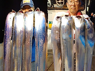 통영명륜호7호)대갈치 빛깔좋고 끝내 주네요..