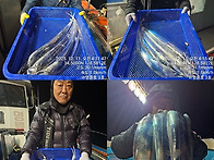 **14석 통영명륜호3호** 계속이어지는 쿨러..