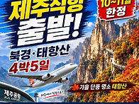[제주직항출발/대..
