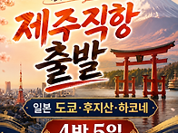 [제주 직항/대한항..