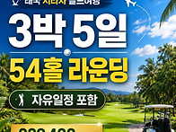 [다색골프/시라차..
