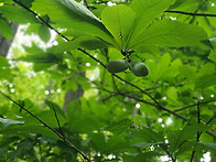9/5일 정기 산행 Wever..