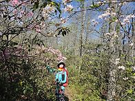 04/18/26, Signal K..