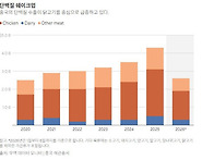 이번 중국 수출 호황은 정..