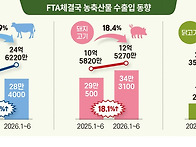 상반기 축산물 수입량 &lsquo;폭..