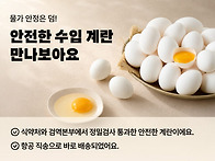 배민B마트, 이커머스 첫 ..