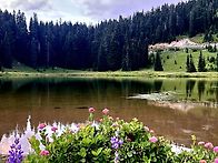 Tipsoo Lake, Washi..