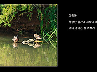 정중동