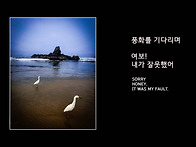풍화를 기다리며