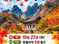 망월사 단풍 영접