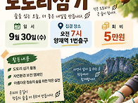 9월 30일 청송군 도토리 ..