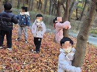 🌳 봉..
