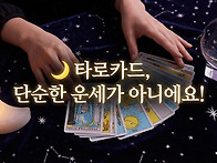 타로카드 해석 단순한 운세..