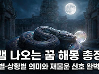 큰 뱀이 나오는 꿈 그냥 ..
