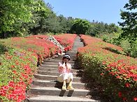 4월25일 아산 천..