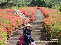 4월25일 아산 천..