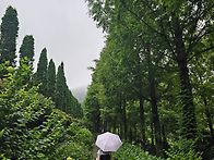 함안 고성