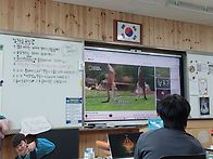 캥거루 싸움 보는..