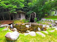 제4회 정기산행 (정선) ..