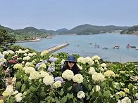 증명 사진 2