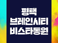 평택 브레인시티 비스타동..