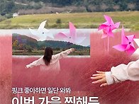 🦩경..
