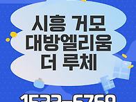 시흥 거모 대방엘리움 더 ..