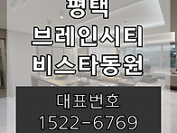 평택 브레인시티 비스타동..